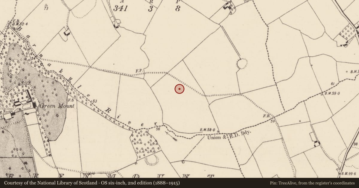 Ordnance Survey six-inch map, 2nd edition (1888–1915) covering the location of Field system, Cloghacloka, County Limerick, with a pin at the register's coordinates