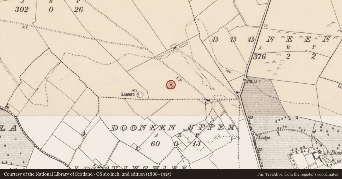 Ordnance Survey six-inch map, 2nd edition (1888–1915) covering the location of Ringfort - rath, Greenmount, County Limerick, with a pin at the register's coordinates
