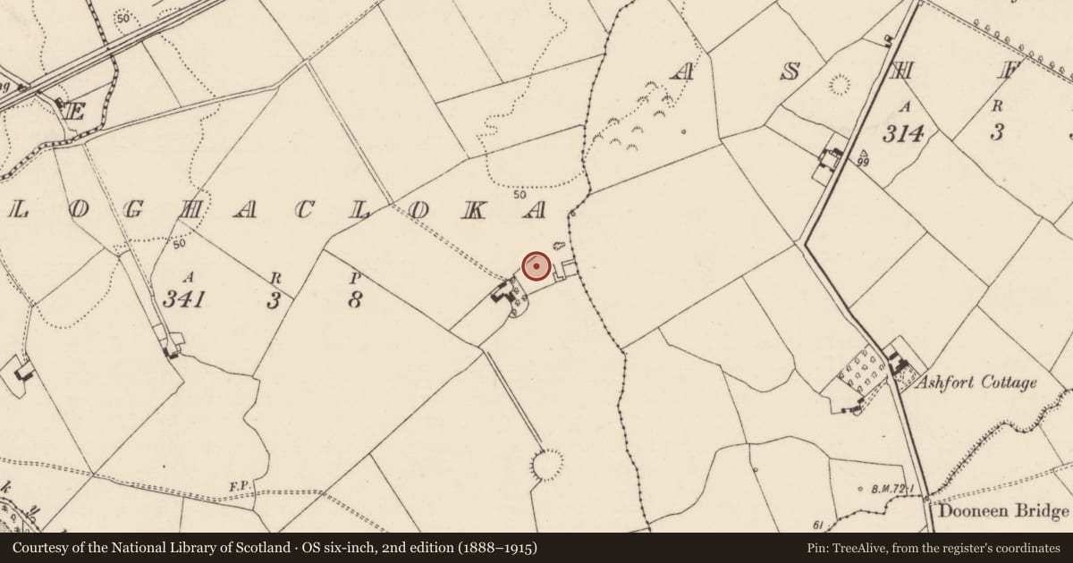 Ordnance Survey six-inch map, 2nd edition (1888–1915) covering the location of Ringfort - rath, Cloghacloka, County Limerick, with a pin at the register's coordinates