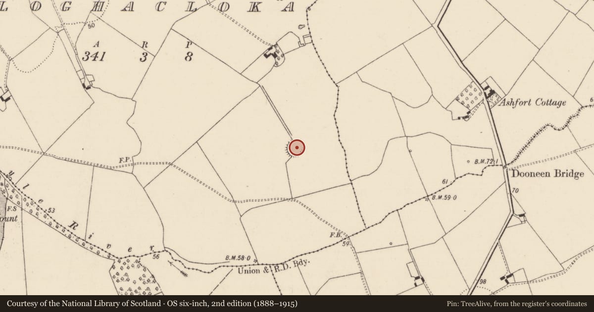 Ordnance Survey six-inch map, 2nd edition (1888–1915) covering the location of Ringfort - rath, Cloghacloka, County Limerick, with a pin at the register's coordinates