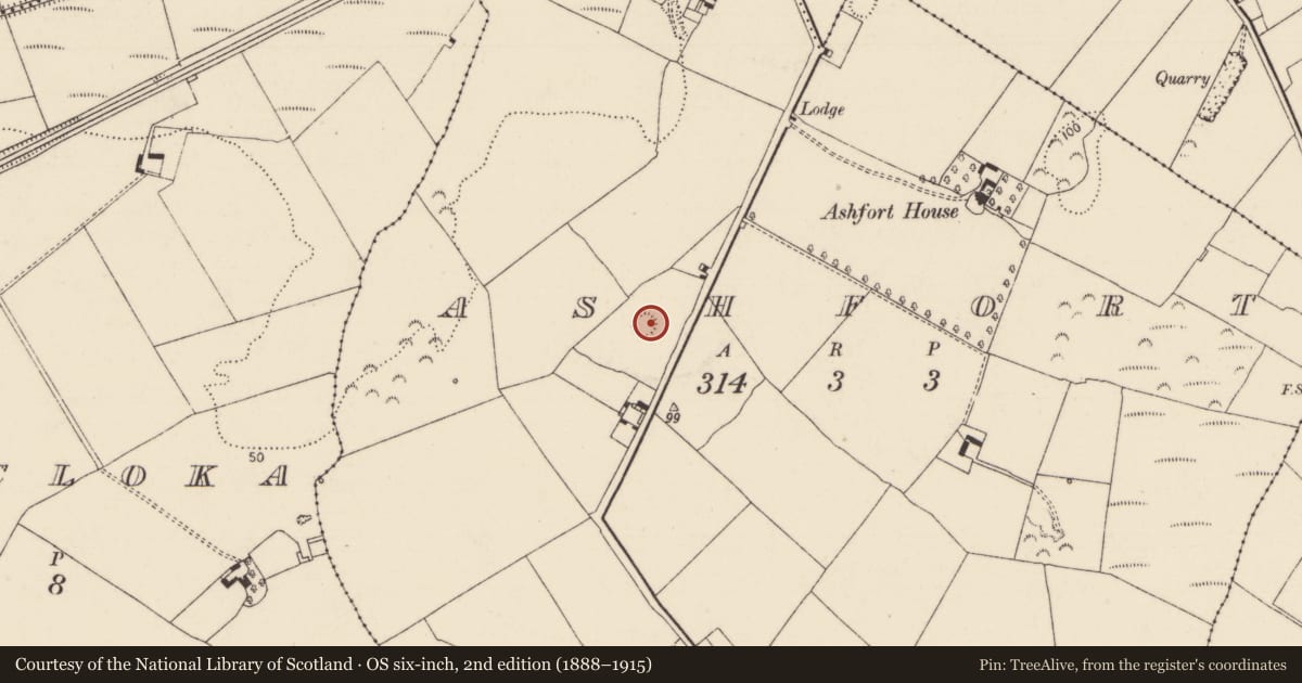 Ordnance Survey six-inch map, 2nd edition (1888–1915) covering the location of Ringfort - rath, Ashfort, County Limerick, with a pin at the register's coordinates