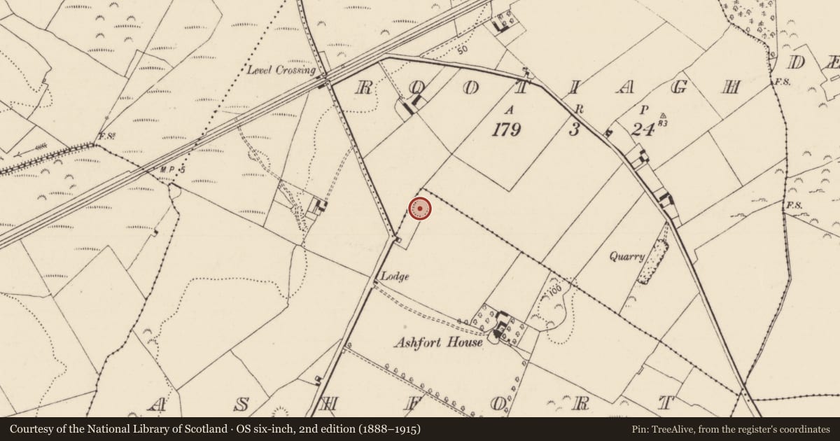 Ordnance Survey six-inch map, 2nd edition (1888–1915) covering the location of Castle - ringwork, Ashfort, County Limerick, with a pin at the register's coordinates
