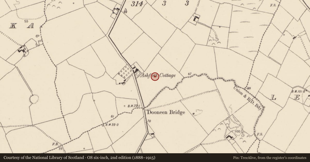 Ordnance Survey six-inch map, 2nd edition (1888–1915) covering the location of Castle - unclassified, Ashfort, County Limerick, with a pin at the register's coordinates