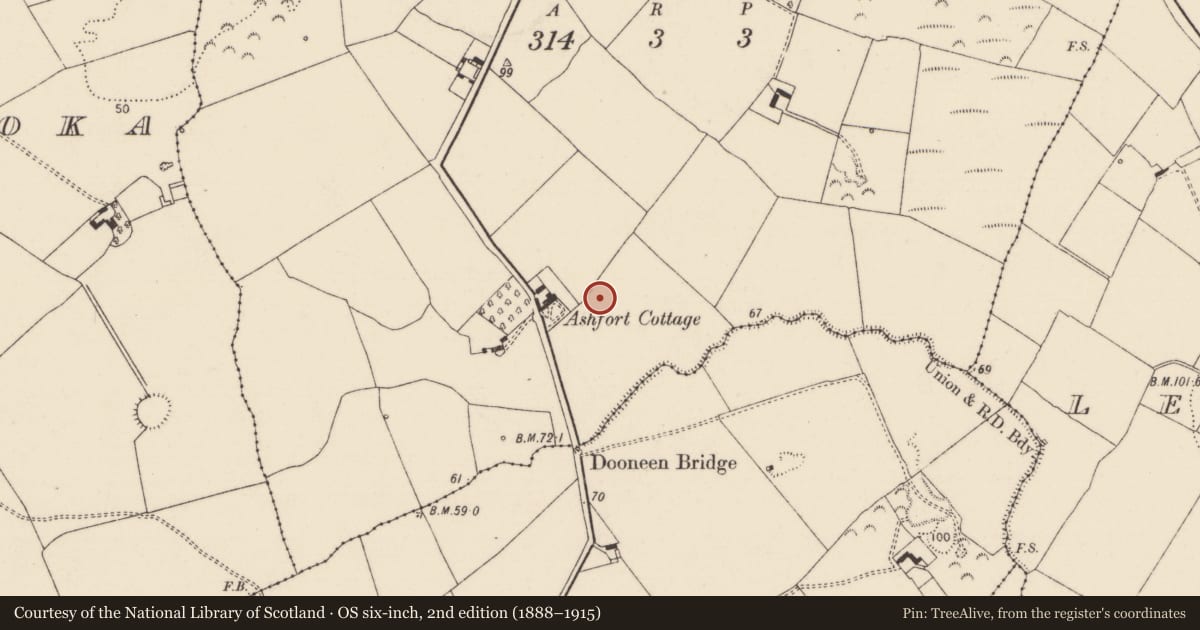 Ordnance Survey six-inch map, 2nd edition (1888–1915) covering the location of Bawn, Ashfort, County Limerick, with a pin at the register's coordinates