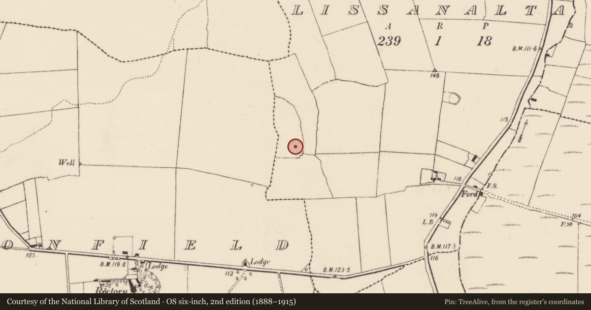 Ordnance Survey six-inch map, 2nd edition (1888–1915) covering the location of Ringfort - rath, Lissanalta, County Limerick, with a pin at the register's coordinates