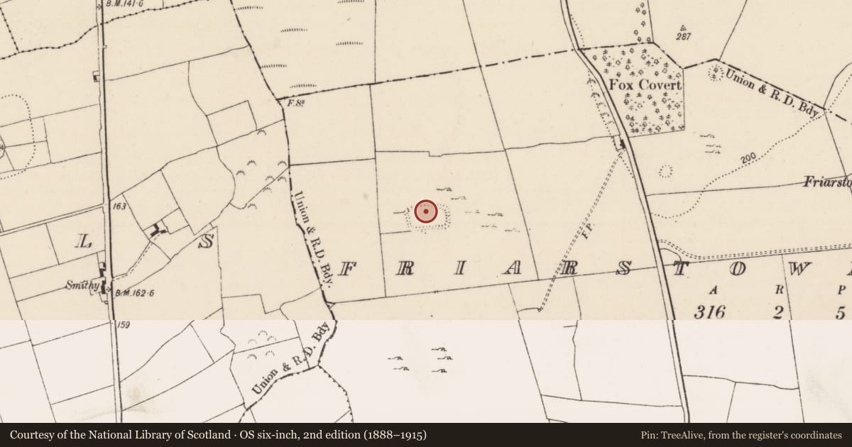 Ordnance Survey six-inch map, 2nd edition (1888–1915) covering the location of Moated site, Friarstown North, County Limerick, with a pin at the register's coordinates