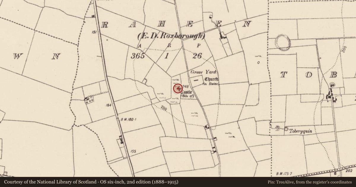 Ordnance Survey six-inch map, 2nd edition (1888–1915) covering the location of Castle - tower house, Raheen, County Limerick, with a pin at the register's coordinates