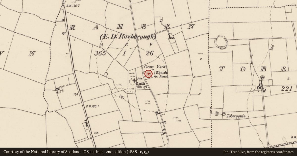 Ordnance Survey six-inch map, 2nd edition (1888–1915) covering the location of Graveyard, Raheen, County Limerick, with a pin at the register's coordinates