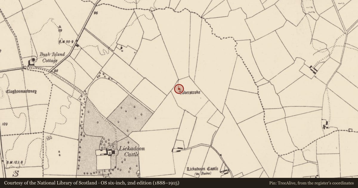 Ordnance Survey six-inch map, 2nd edition (1888–1915) covering the location of Ritual site - holy well, Lickadoon, County Limerick, with a pin at the register's coordinates