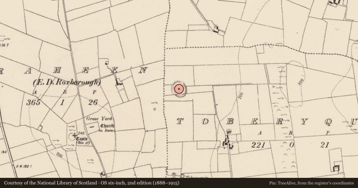 Ordnance Survey six-inch map, 2nd edition (1888–1915) covering the location of Ringfort - rath, Toberyquin, County Limerick, with a pin at the register's coordinates