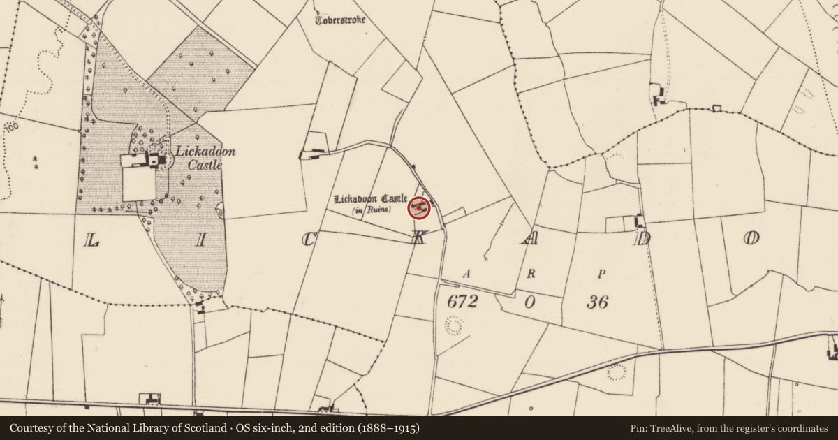 Ordnance Survey six-inch map, 2nd edition (1888–1915) covering the location of Castle - tower house, Lickadoon, County Limerick, with a pin at the register's coordinates