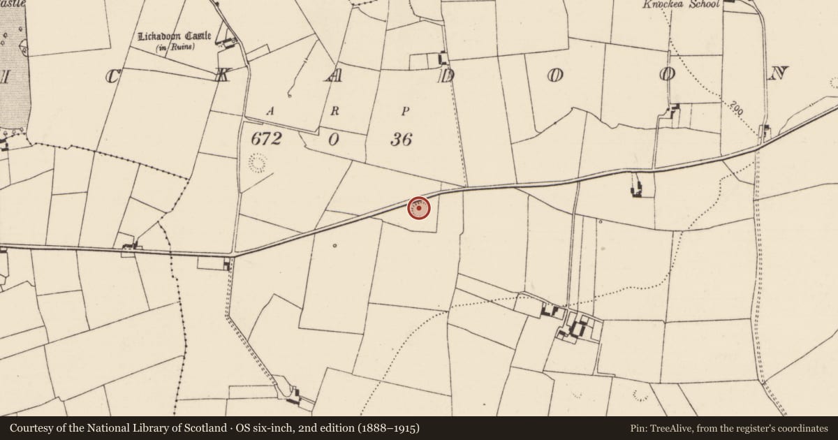 Ordnance Survey six-inch map, 2nd edition (1888–1915) covering the location of Ringfort - rath, Lickadoon, County Limerick, with a pin at the register's coordinates