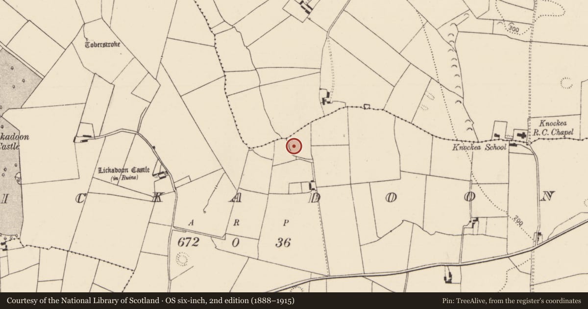 Ordnance Survey six-inch map, 2nd edition (1888–1915) covering the location of Ringfort - rath, Lickadoon, County Limerick, with a pin at the register's coordinates