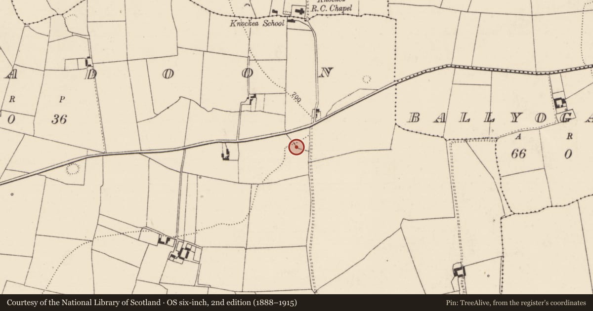 Ordnance Survey six-inch map, 2nd edition (1888–1915) covering the location of Ringfort - rath, Lickadoon, County Limerick, with a pin at the register's coordinates