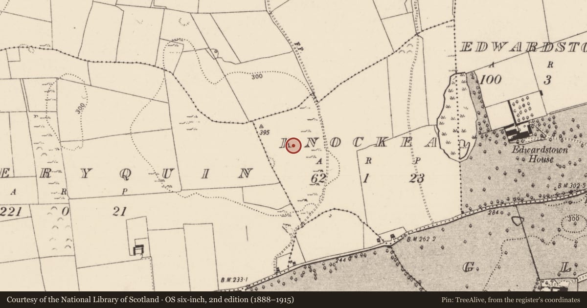 Ordnance Survey six-inch map, 2nd edition (1888–1915) covering the location of Settlement cluster, Knockea, County Limerick, with a pin at the register's coordinates
