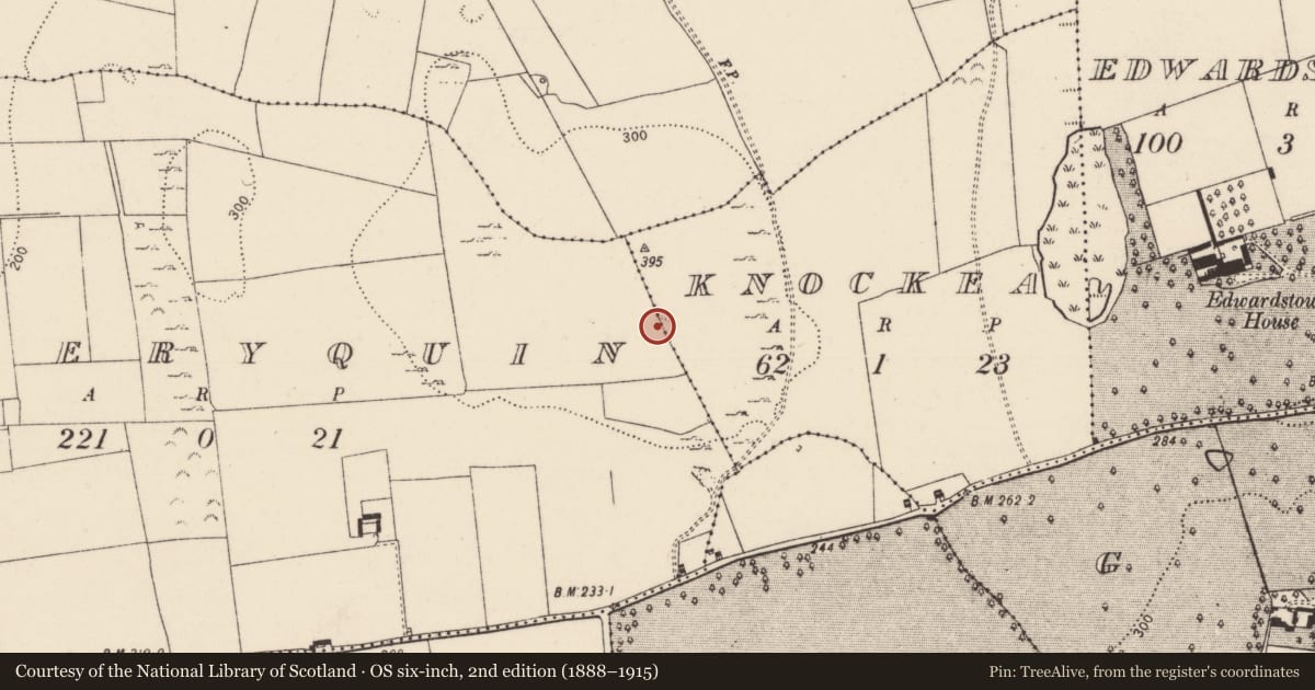 Ordnance Survey six-inch map, 2nd edition (1888–1915) covering the location of Ringfort - rath, Knockea, Toberyquin, County Limerick, with a pin at the register's coordinates