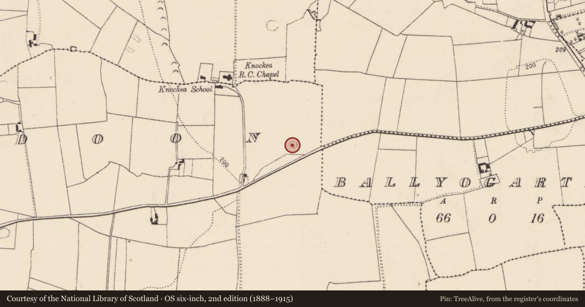 Ordnance Survey six-inch map, 2nd edition (1888–1915) covering the location of Enclosure, Lickadoon, County Limerick, with a pin at the register's coordinates