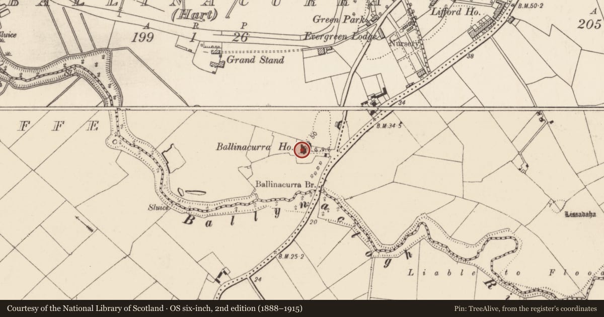 Ordnance Survey six-inch map, 2nd edition (1888–1915) covering the location of Castle - unclassified, Ballinacurra (Hart), County Limerick, with a pin at the register's coordinates