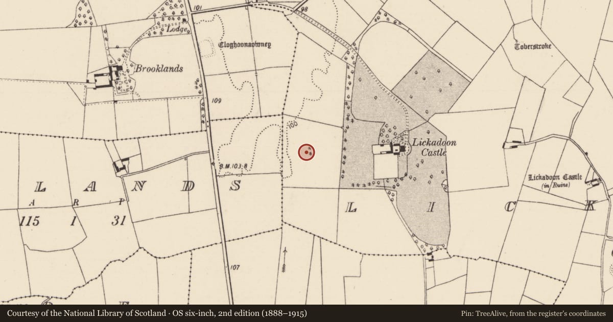 Ordnance Survey six-inch map, 2nd edition (1888–1915) covering the location of Enclosure, Lickadoon, County Limerick, with a pin at the register's coordinates