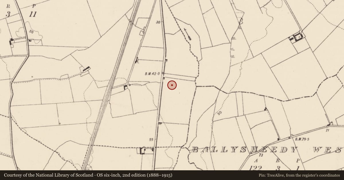 Ordnance Survey six-inch map, 2nd edition (1888–1915) covering the location of Enclosure, Dooradoyle, County Limerick, with a pin at the register's coordinates