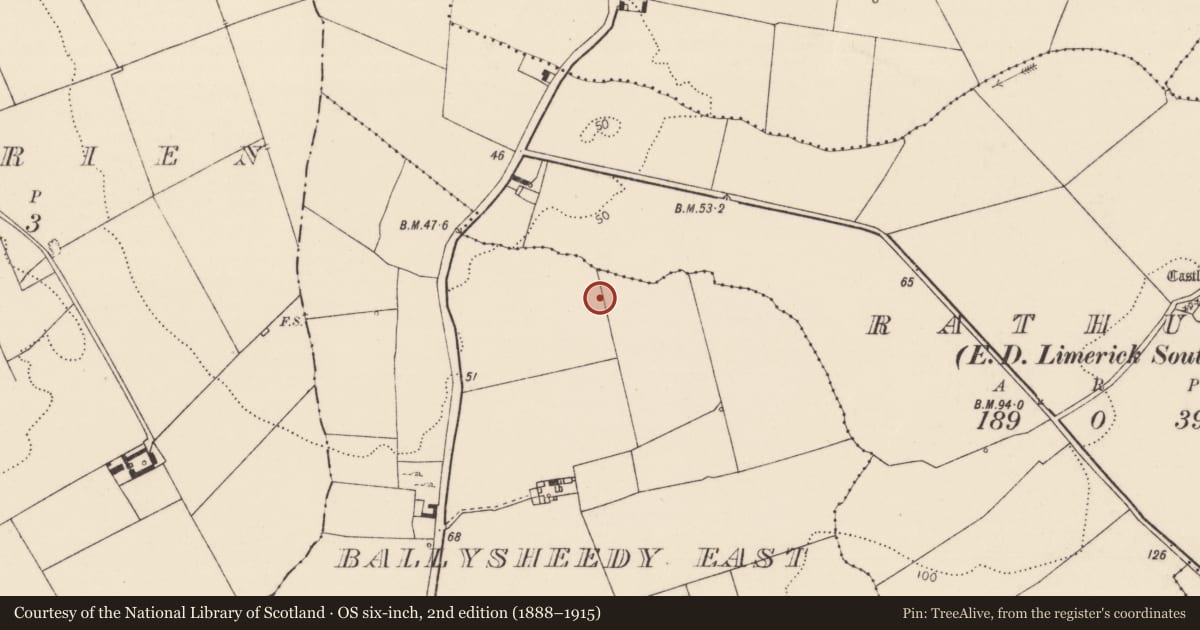 Ordnance Survey six-inch map, 2nd edition (1888–1915) covering the location of Enclosure, Ballysheedy East, County Limerick, with a pin at the register's coordinates