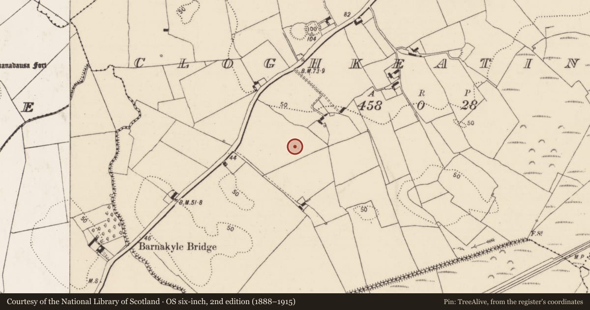 Ordnance Survey six-inch map, 2nd edition (1888–1915) covering the location of Enclosure, Cloghkeating, County Limerick, with a pin at the register's coordinates
