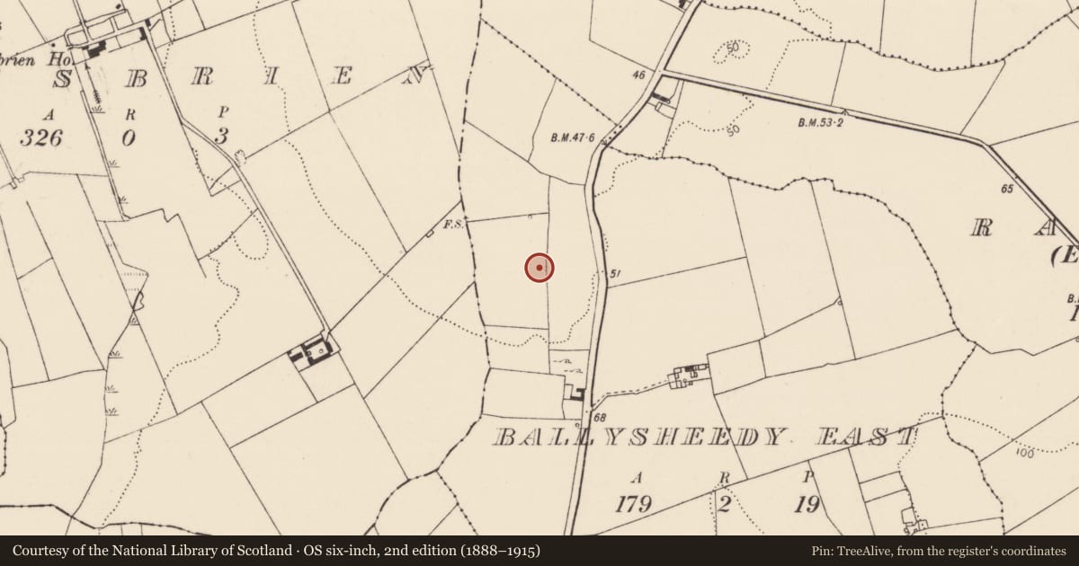 Ordnance Survey six-inch map, 2nd edition (1888–1915) covering the location of Enclosure, Ballysheedy East, County Limerick, with a pin at the register's coordinates