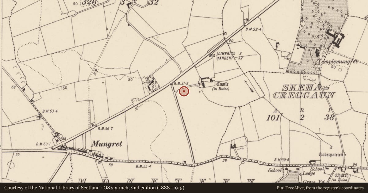 Ordnance Survey six-inch map, 2nd edition (1888–1915) covering the location of Standing stone, Castlemungret, County Limerick, with a pin at the register's coordinates