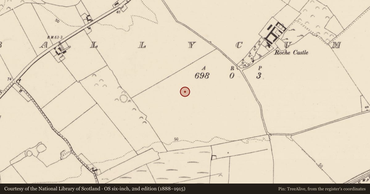 Ordnance Survey six-inch map, 2nd edition (1888–1915) covering the location of Road - road/trackway, Ballycummin, County Limerick, with a pin at the register's coordinates