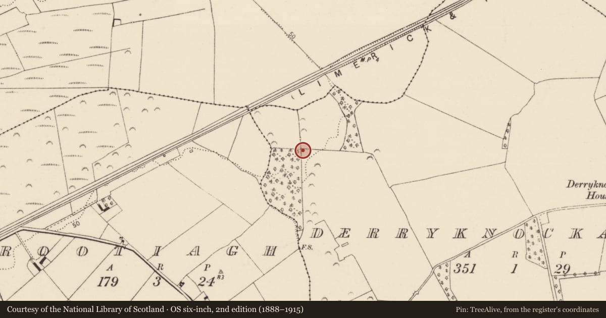 Ordnance Survey six-inch map, 2nd edition (1888–1915) covering the location of Bridge, Derryknockane, County Limerick, with a pin at the register's coordinates