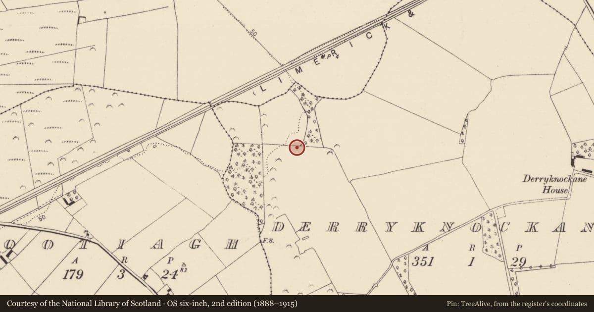Ordnance Survey six-inch map, 2nd edition (1888–1915) covering the location of Bridge, Derryknockane, County Limerick, with a pin at the register's coordinates