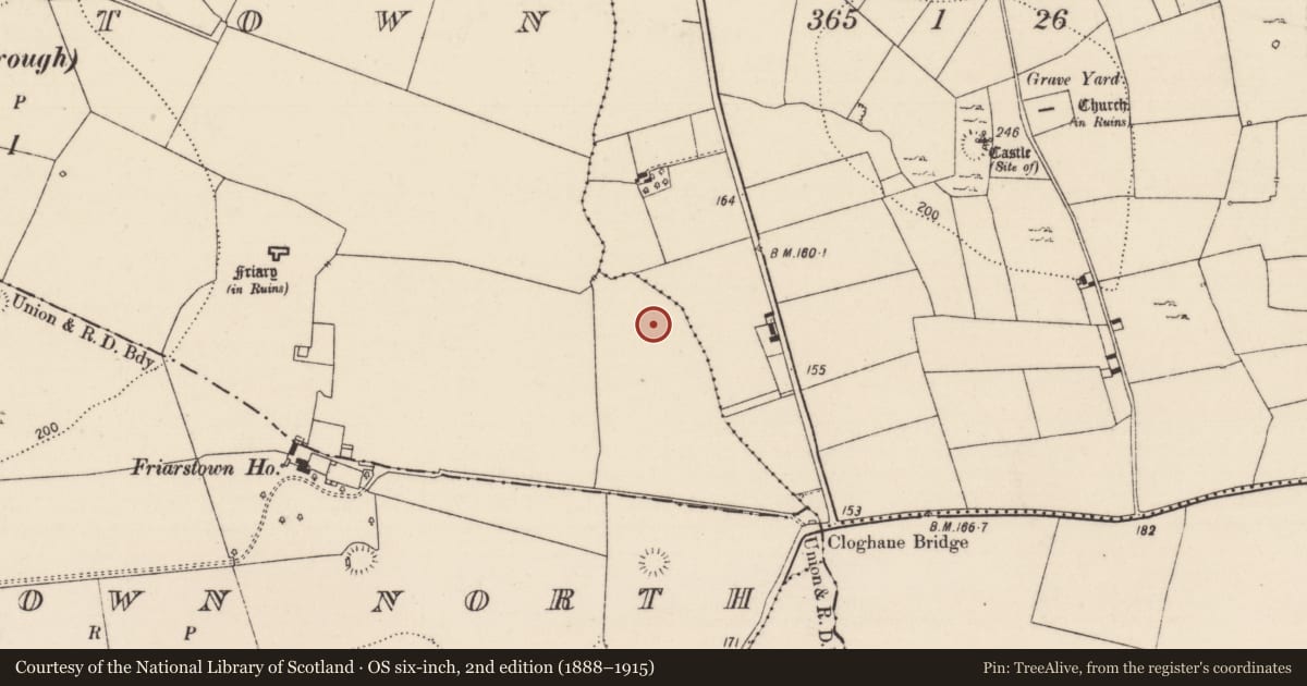 Ordnance Survey six-inch map, 2nd edition (1888–1915) covering the location of Ringfort - rath, Friarstown, County Limerick, with a pin at the register's coordinates