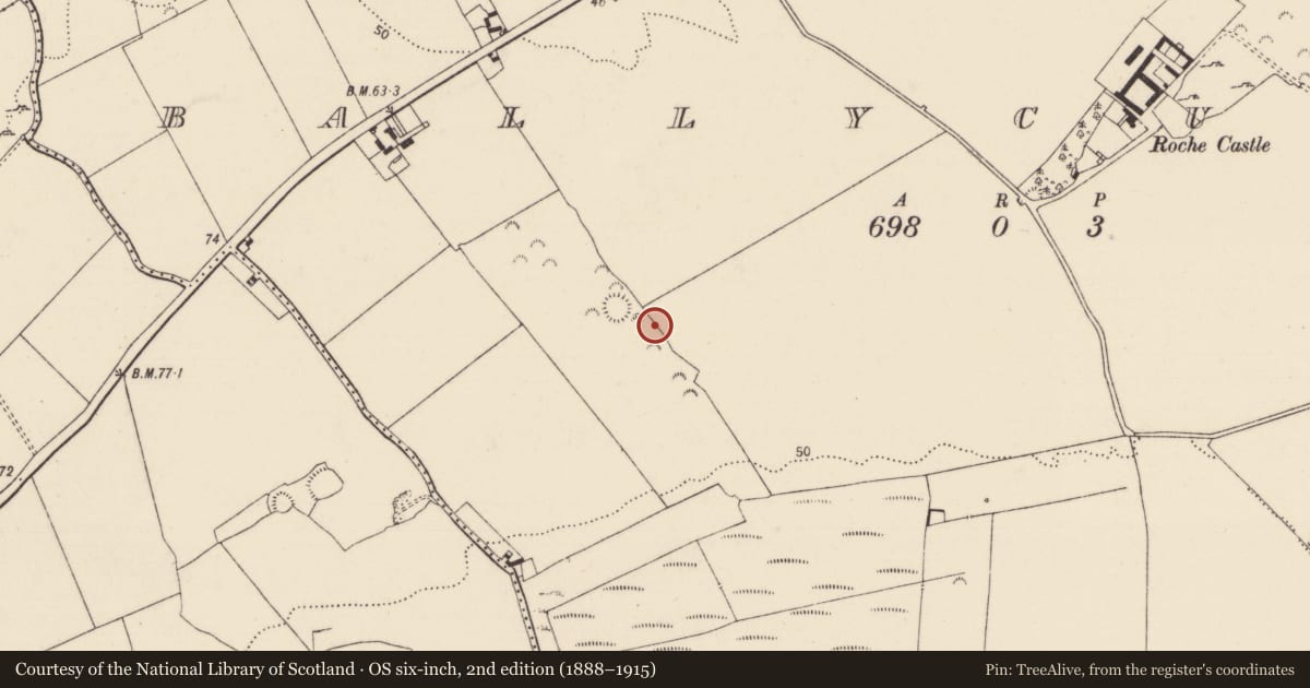Ordnance Survey six-inch map, 2nd edition (1888–1915) covering the location of Excavation - miscellaneous, Ballycummin, County Limerick, with a pin at the register's coordinates