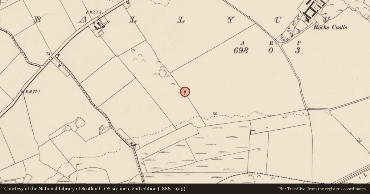 Ordnance Survey six-inch map, 2nd edition (1888–1915) covering the location of House - 18th/19th century, Ballycummin, County Limerick, with a pin at the register's coordinates