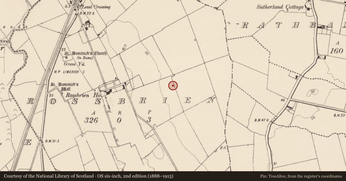 Ordnance Survey six-inch map, 2nd edition (1888–1915) covering the location of Fulacht fia, Rossbrien, County Limerick, with a pin at the register's coordinates