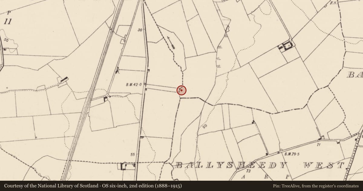 Ordnance Survey six-inch map, 2nd edition (1888–1915) covering the location of Fulacht fia, Rossbrien, County Limerick, with a pin at the register's coordinates