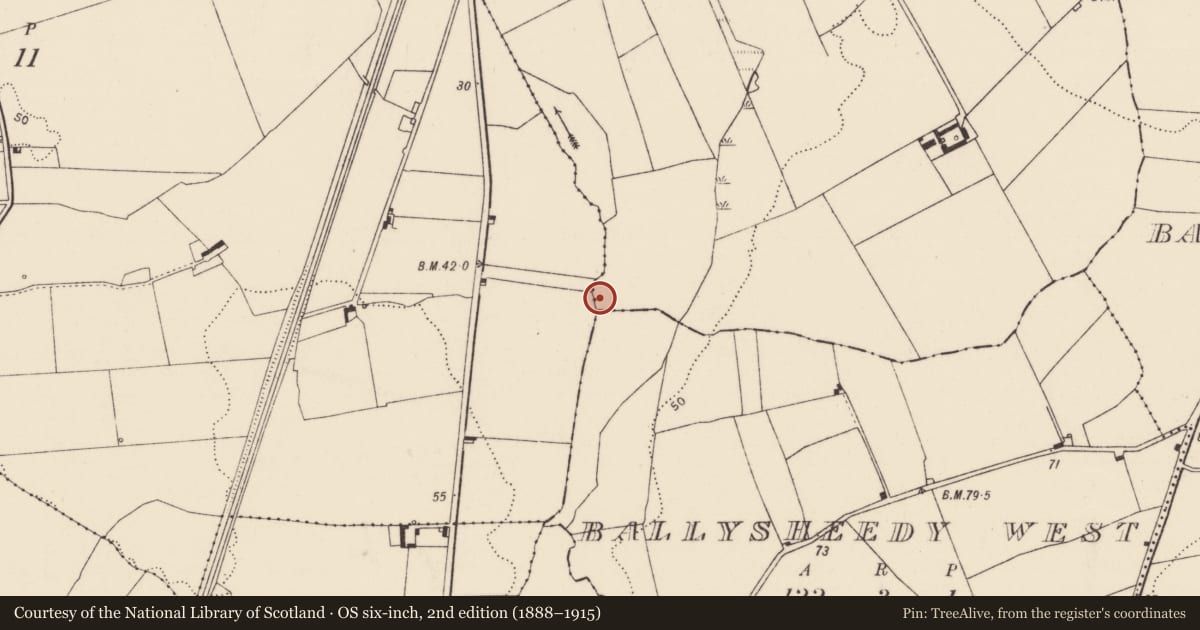 Ordnance Survey six-inch map, 2nd edition (1888–1915) covering the location of Fulacht fia, Rossbrien, County Limerick, with a pin at the register's coordinates