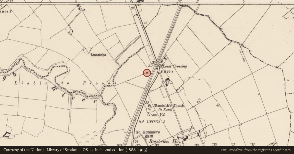 Ordnance Survey six-inch map, 2nd edition (1888–1915) covering the location of Burnt mound, Rossbrien, County Limerick, with a pin at the register's coordinates