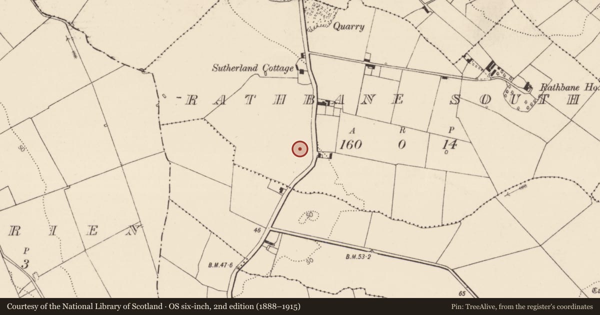 Ordnance Survey six-inch map, 2nd edition (1888–1915) covering the location of Fulacht fia, Rathbane South, County Limerick, with a pin at the register's coordinates