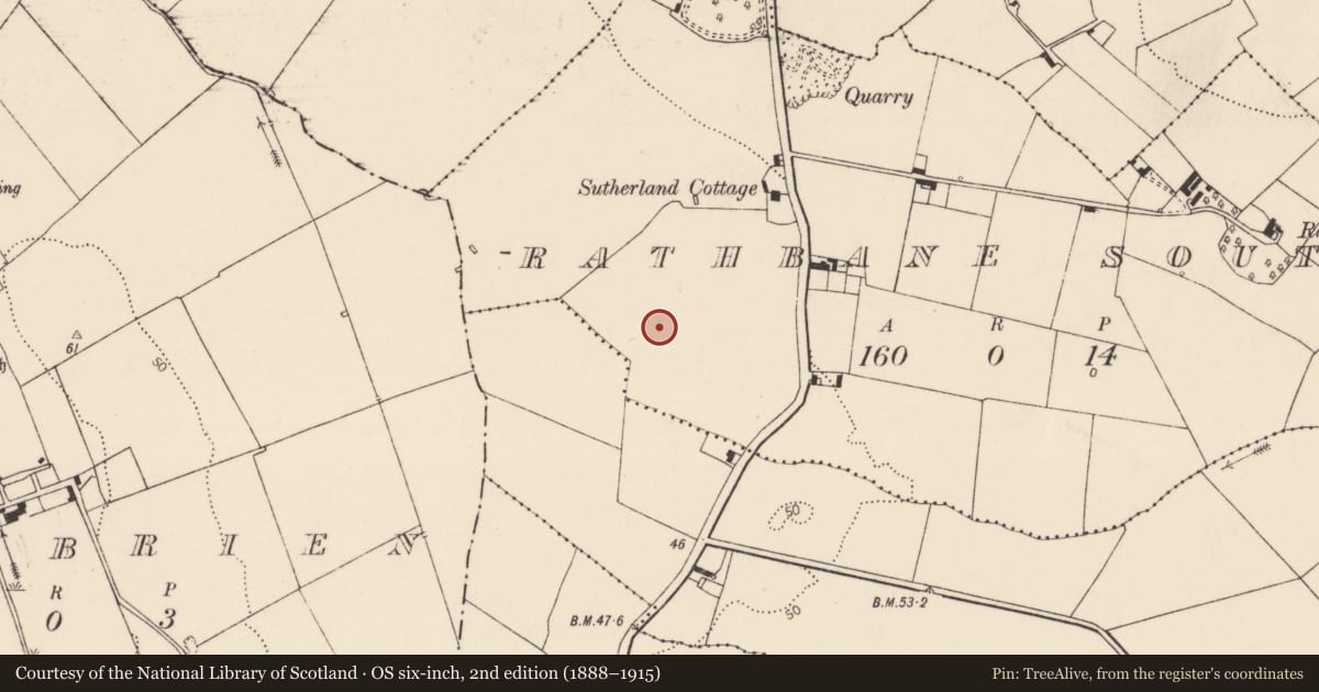Ordnance Survey six-inch map, 2nd edition (1888–1915) covering the location of Fulacht fia, Rathbane South, County Limerick, with a pin at the register's coordinates
