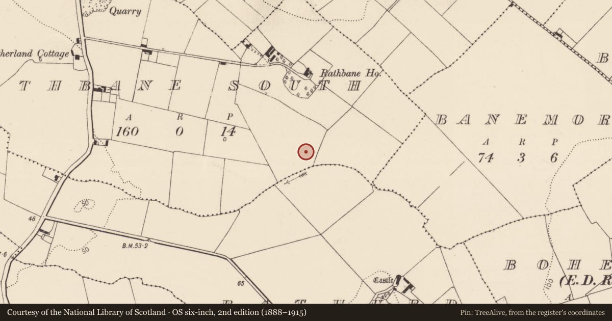 Ordnance Survey six-inch map, 2nd edition (1888–1915) covering the location of Fulacht fia, Rathbane South, County Limerick, with a pin at the register's coordinates