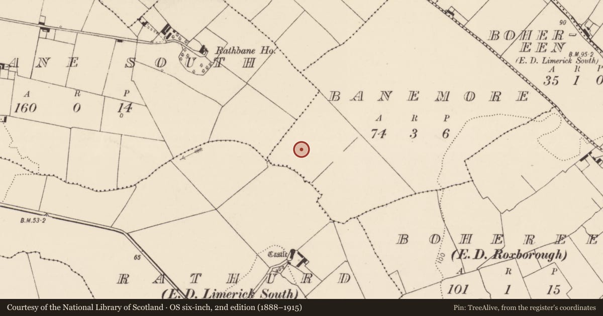Ordnance Survey six-inch map, 2nd edition (1888–1915) covering the location of Habitation site, Banemore, County Limerick, with a pin at the register's coordinates