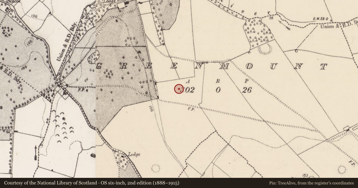 Ordnance Survey six-inch map, 2nd edition (1888–1915) covering the location of Fulacht fia, Greenmount, County Limerick, with a pin at the register's coordinates