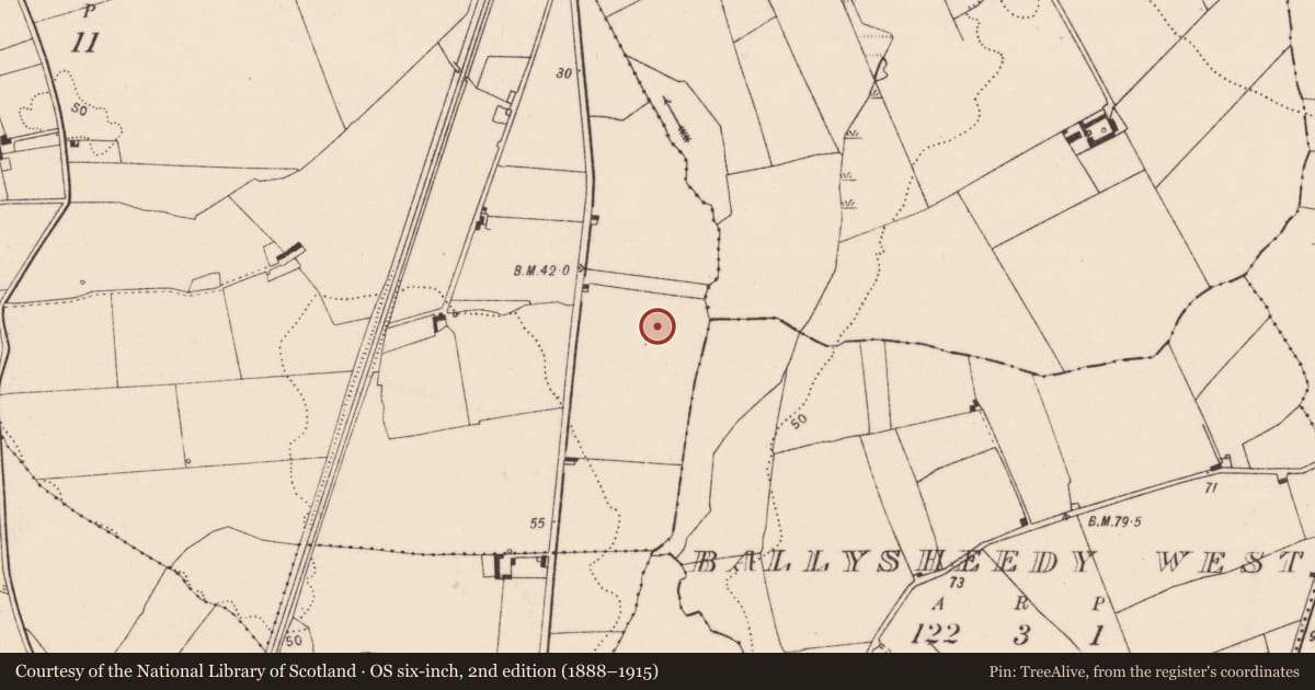 Ordnance Survey six-inch map, 2nd edition (1888–1915) covering the location of Fulacht fia, Dooradoyle, County Limerick, with a pin at the register's coordinates