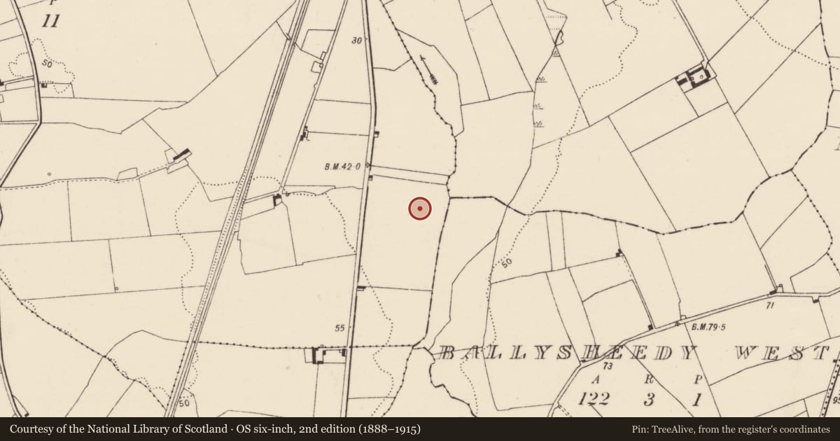 Ordnance Survey six-inch map, 2nd edition (1888–1915) covering the location of Fulacht fia, Dooradoyle, County Limerick, with a pin at the register's coordinates