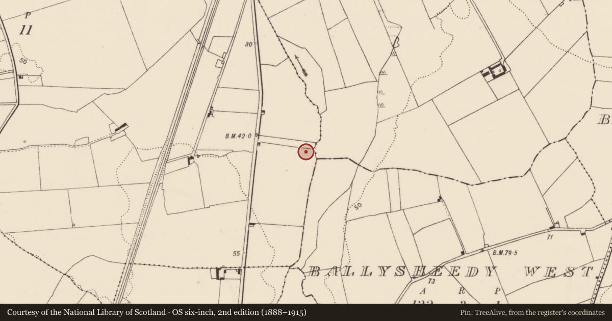 Ordnance Survey six-inch map, 2nd edition (1888–1915) covering the location of Fulacht fia, Dooradoyle, County Limerick, with a pin at the register's coordinates