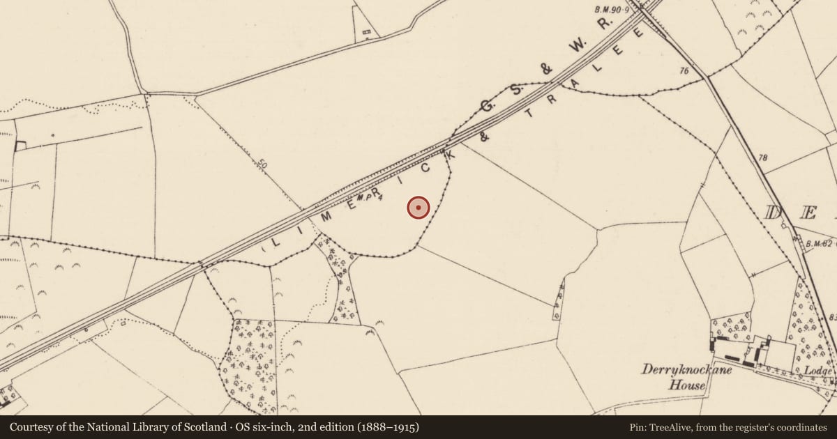 Ordnance Survey six-inch map, 2nd edition (1888–1915) covering the location of Fulacht fia, Ballycummin, County Limerick, with a pin at the register's coordinates