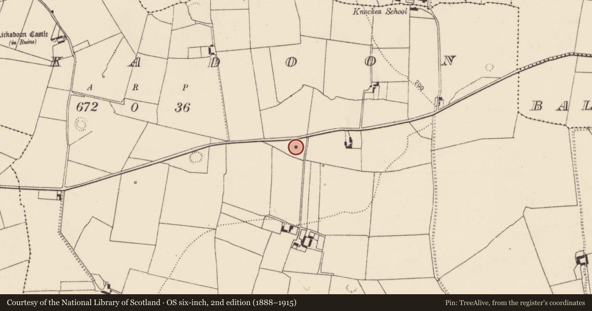 Ordnance Survey six-inch map, 2nd edition (1888–1915) covering the location of Ringfort - rath, Lickadoon, County Limerick, with a pin at the register's coordinates