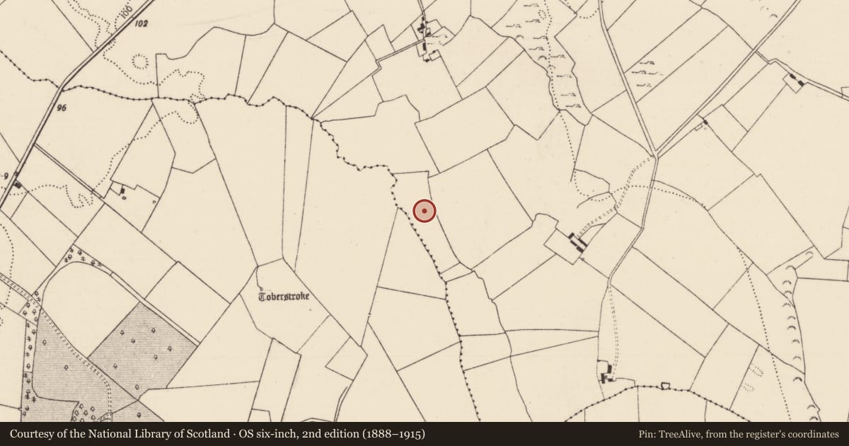 Ordnance Survey six-inch map, 2nd edition (1888–1915) covering the location of Fulacht fia, Lickadoon, County Limerick, with a pin at the register's coordinates