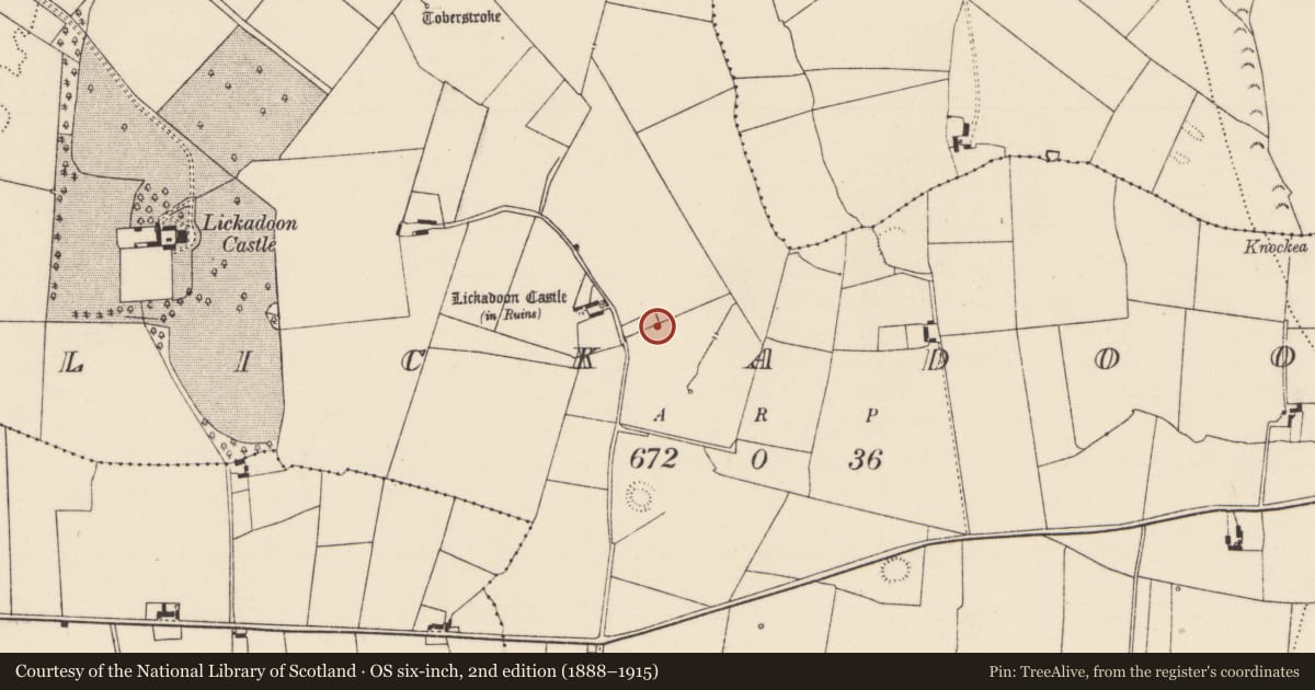 Ordnance Survey six-inch map, 2nd edition (1888–1915) covering the location of Mill - unclassified, Lickadoon, County Limerick, with a pin at the register's coordinates